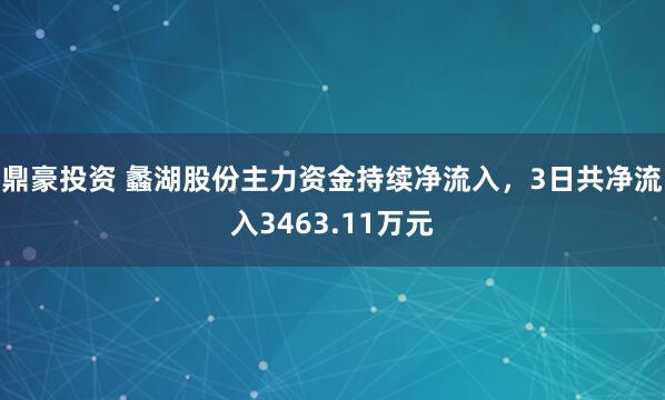 鼎豪投资 蠡湖股份主力资金持续净流入，3日共净流入3463.11万元