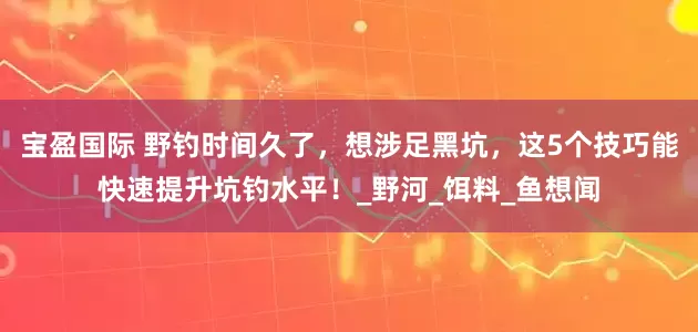 宝盈国际 野钓时间久了，想涉足黑坑，这5个技巧能快速提升坑钓水平！_野河_饵料_鱼想闻