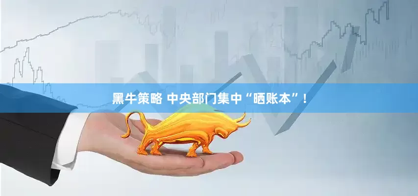 黑牛策略 中央部门集中“晒账本”！