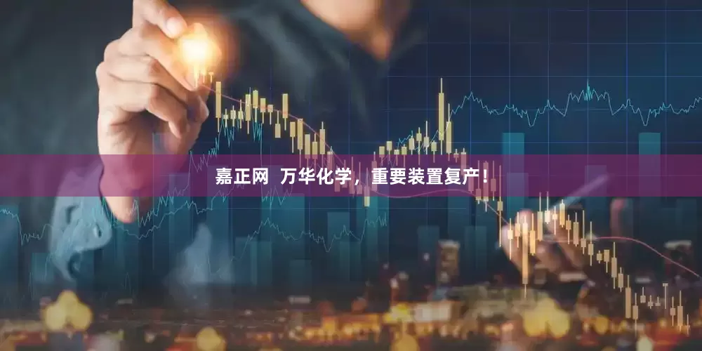 嘉正网  万华化学，重要装置复产！
