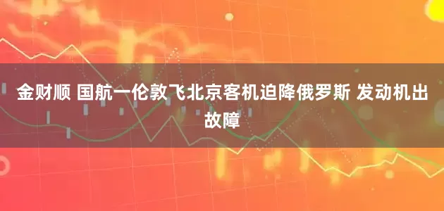 金财顺 国航一伦敦飞北京客机迫降俄罗斯 发动机出故障