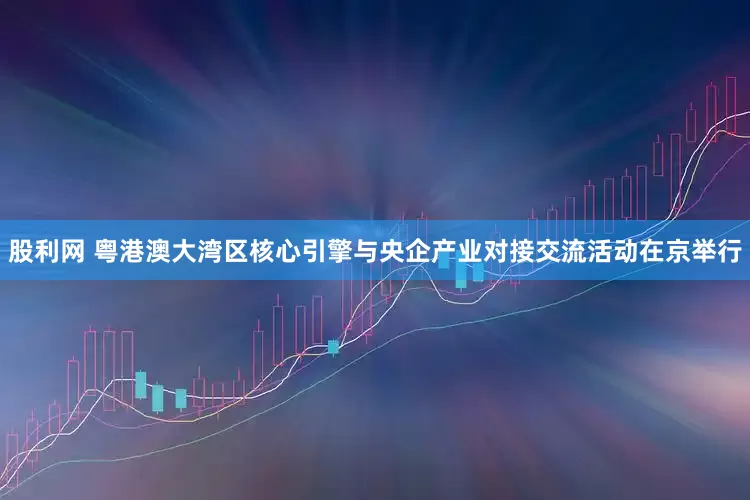 股利网 粤港澳大湾区核心引擎与央企产业对接交流活动在京举行