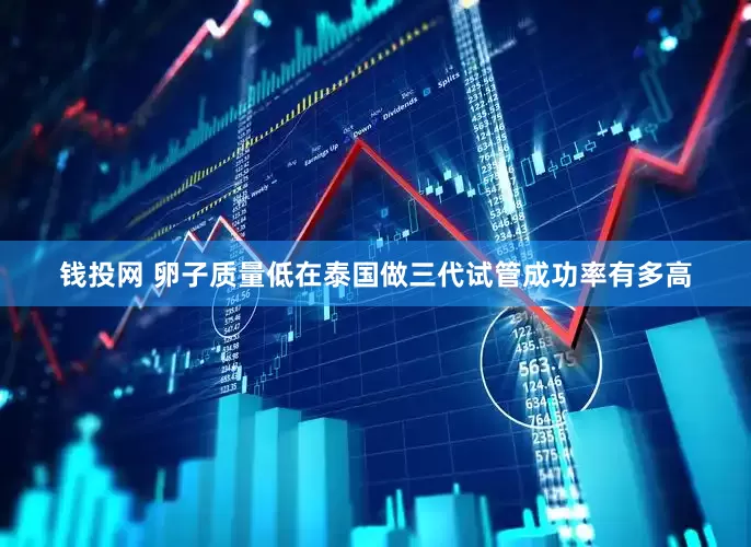 钱投网 卵子质量低在泰国做三代试管成功率有多高