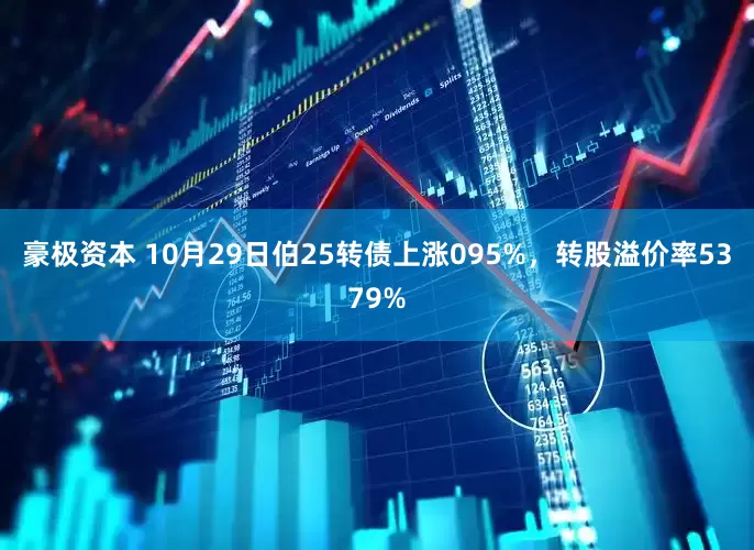 豪极资本 10月29日伯25转债上涨095%，转股溢价率5379%